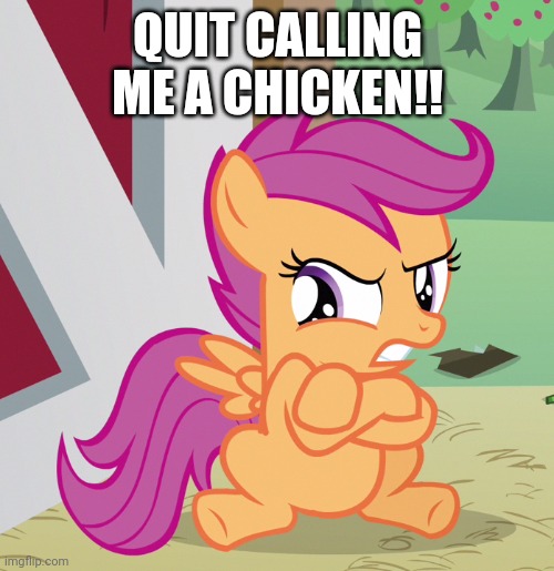 Angry Scootaloo (MLP) | QUIT CALLING ME A CHICKEN!! | image tagged in angry scootaloo mlp | made w/ Imgflip meme maker