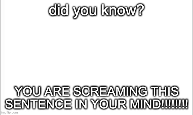 cool | did you know? YOU ARE SCREAMING THIS SENTENCE IN YOUR MIND!!!!!!!! | image tagged in white background | made w/ Imgflip meme maker