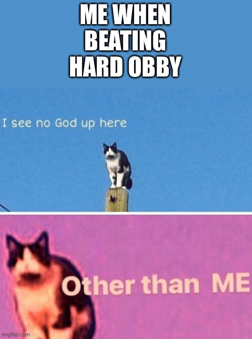 The | ME WHEN BEATING HARD OBBY | image tagged in hail pole cat,cats,gaming | made w/ Imgflip meme maker