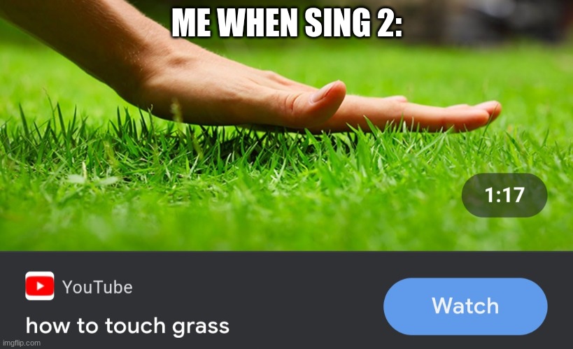 How to touch grass | ME WHEN SING 2: | image tagged in how to touch grass | made w/ Imgflip meme maker