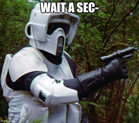 scout trooper confused before disaster | WAIT A SEC- | image tagged in scout trooper confused before disaster | made w/ Imgflip meme maker