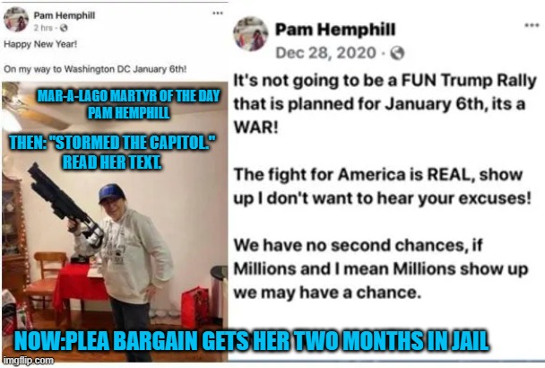 She told the judge she's sorry for all she did.  Right! | MAR-A-LAGO MARTYR OF THE DAY
PAM HEMPHILL; THEN: "STORMED THE CAPITOL."
READ HER TEXT. NOW:PLEA BARGAIN GETS HER TWO MONTHS IN JAIL | image tagged in politics | made w/ Imgflip meme maker