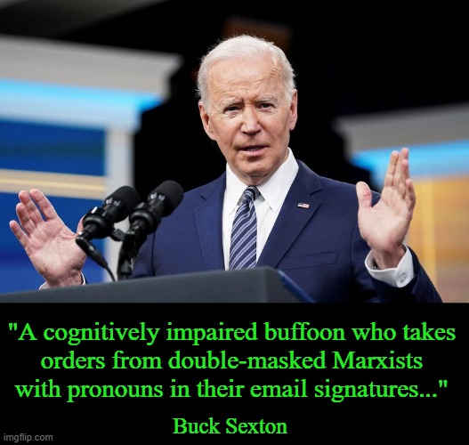 Pretty appropriate observation of the installed POTUS, Joe Biden . . . | "A cognitively impaired buffoon who takes 
orders from double-masked Marxists 
with pronouns in their email signatures..."; Buck Sexton | image tagged in politics,joe biden,cognitively impaired,mentally unsound,potus,pronouns | made w/ Imgflip meme maker