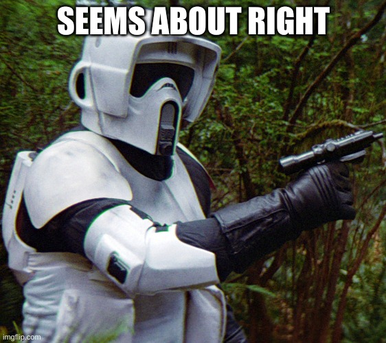 scout trooper confused before disaster | SEEMS ABOUT RIGHT | image tagged in scout trooper confused before disaster | made w/ Imgflip meme maker
