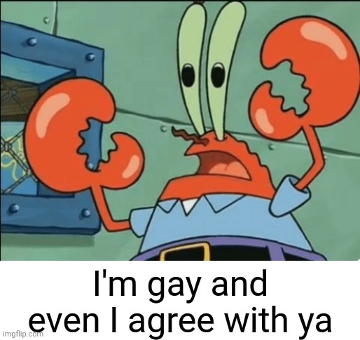 And i agree with ya | I'm gay and even I agree with ya | image tagged in and i agree with ya | made w/ Imgflip meme maker