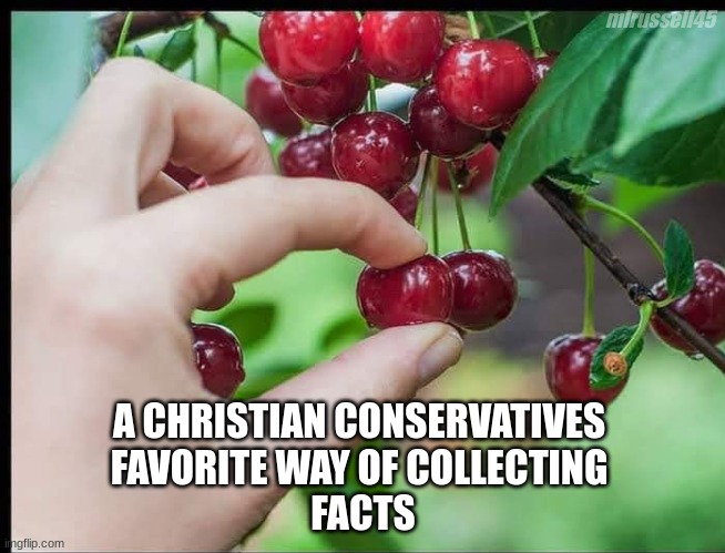 Collecting Facts | mlrussell45; A CHRISTIAN CONSERVATIVES 
FAVORITE WAY OF COLLECTING 
FACTS | image tagged in cherry picking,conservatives,facts | made w/ Imgflip meme maker