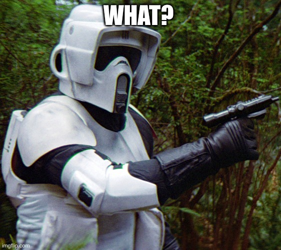 scout trooper confused before disaster | WHAT? | image tagged in scout trooper confused before disaster | made w/ Imgflip meme maker