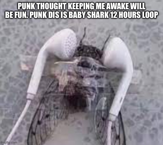 Cicada | PUNK THOUGHT KEEPING ME AWAKE WILL
BE FUN. PUNK DIS IS BABY SHARK 12 HOURS LOOP | image tagged in baby shark | made w/ Imgflip meme maker