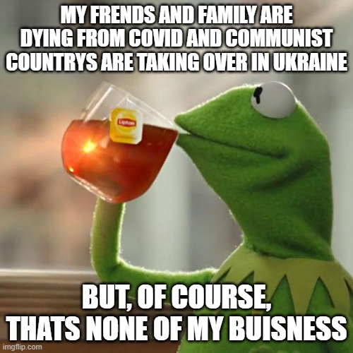 idk help me with names plz | MY FRENDS AND FAMILY ARE DYING FROM COVID AND COMMUNIST COUNTRYS ARE TAKING OVER IN UKRAINE; BUT, OF COURSE, THATS NONE OF MY BUISNESS | image tagged in memes,but that's none of my business,kermit the frog | made w/ Imgflip meme maker