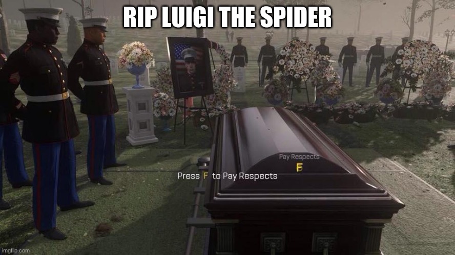 RIP LUIGI THE SPIDER | image tagged in press f to pay respects | made w/ Imgflip meme maker