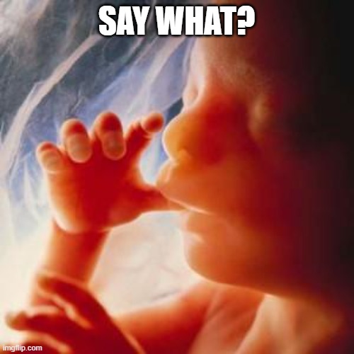 Fetus | SAY WHAT? | image tagged in fetus | made w/ Imgflip meme maker