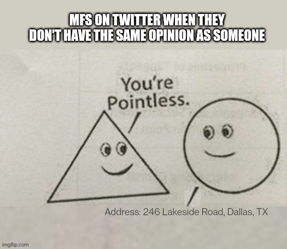 You're Pointless Blank | MFS ON TWITTER WHEN THEY DON'T HAVE THE SAME OPINION AS SOMEONE; Address: 246 Lakeside Road, Dallas, TX | image tagged in you're pointless blank | made w/ Imgflip meme maker