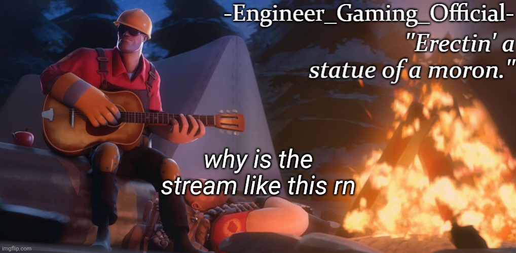 Engineer Gaming Official temp | why is the stream like this rn | image tagged in engineer gaming official temp | made w/ Imgflip meme maker