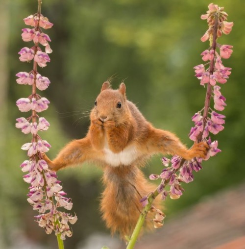 Split. Photo credit: Geert Weggen | image tagged in awesome,pics,photography | made w/ Imgflip meme maker