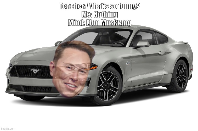 Elon musktang | Teacher: What's so funny?
Me: Nothing

Mind: Elon Musktang | image tagged in mustang,elon musk,funny,lmao | made w/ Imgflip meme maker