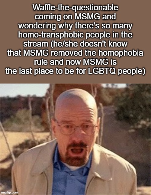 when: | Waffle-the-questionable coming on MSMG and wondering why there's so many homo-transphobic people in the stream (he/she doesn't know that MSMG removed the homophobia rule and now MSMG is the last place to be for LGBTQ people) | image tagged in walter white | made w/ Imgflip meme maker