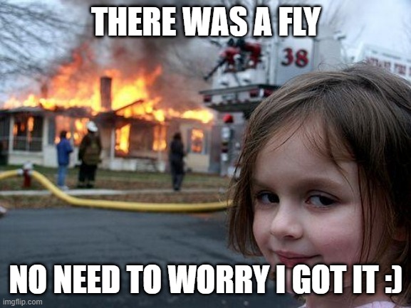 Disaster Girl |  THERE WAS A FLY; NO NEED TO WORRY I GOT IT :) | image tagged in memes,disaster girl | made w/ Imgflip meme maker