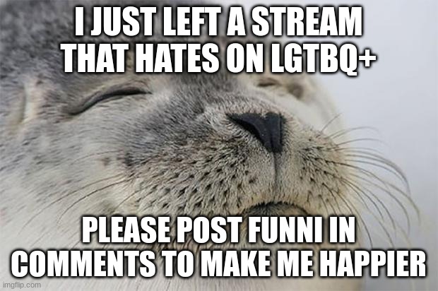:D I do not regret leaving that stream :D | I JUST LEFT A STREAM THAT HATES ON LGTBQ+; PLEASE POST FUNNI IN COMMENTS TO MAKE ME HAPPIER | image tagged in memes,satisfied seal | made w/ Imgflip meme maker