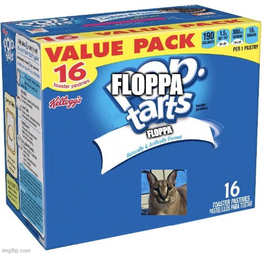 floppa tarts | FLOPPA; FLOPPA | image tagged in pop tarts | made w/ Imgflip meme maker