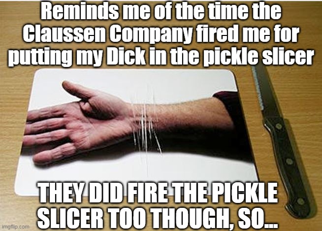Reminds me of the time the Claussen Company fired me for putting my Dick in the pickle slicer THEY DID FIRE THE PICKLE SLICER TOO THOUGH, SO | made w/ Imgflip meme maker