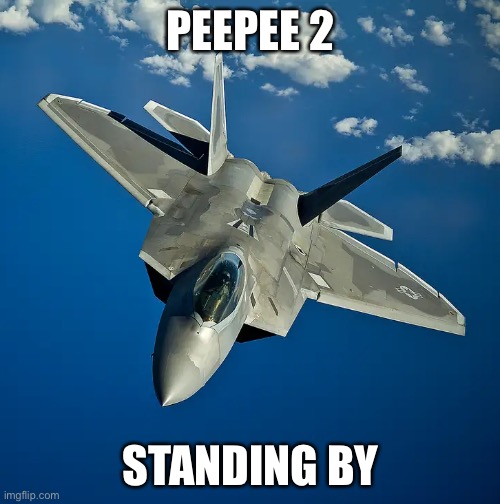 F22 | PEEPEE 2 STANDING BY | image tagged in f22 | made w/ Imgflip meme maker
