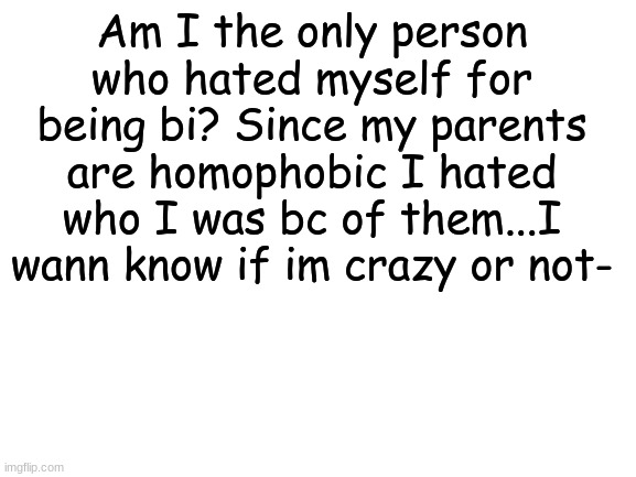 I feel like I am | Am I the only person who hated myself for being bi? Since my parents are homophobic I hated who I was bc of them...I wann know if im crazy or not- | image tagged in blank white template,rawr | made w/ Imgflip meme maker