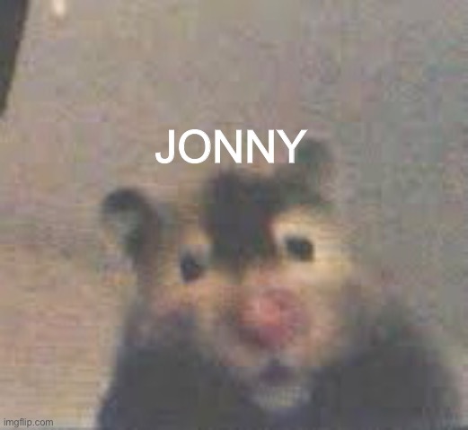 Hamter | JONNY | made w/ Imgflip meme maker