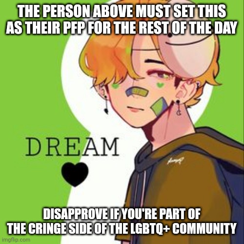 THE PERSON ABOVE MUST SET THIS AS THEIR PFP FOR THE REST OF THE DAY; DISAPPROVE IF YOU'RE PART OF THE CRINGE SIDE OF THE LGBTQ+ COMMUNITY | made w/ Imgflip meme maker