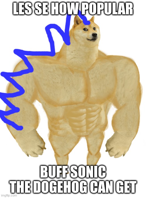 Swole Doge | LES SE HOW POPULAR; BUFF SONIC THE DOGEHOG CAN GET | image tagged in swole doge | made w/ Imgflip meme maker