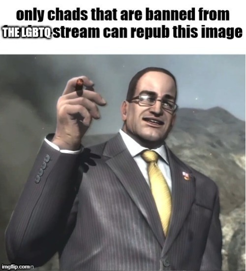 I never posted nor commented on the LGBTQ stream, but when I tried to recently it said I was banned | made w/ Imgflip meme maker