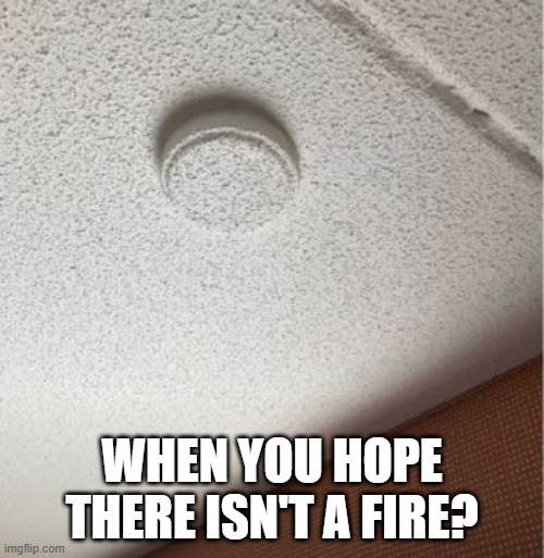 Anti-Detection | WHEN YOU HOPE THERE ISN'T A FIRE? | image tagged in you had one job | made w/ Imgflip meme maker