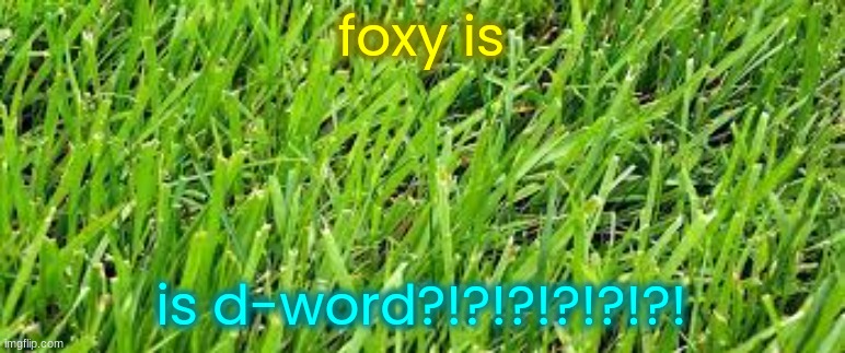 grass | foxy is is d-word?!?!?!?!?!?! | image tagged in grass | made w/ Imgflip meme maker