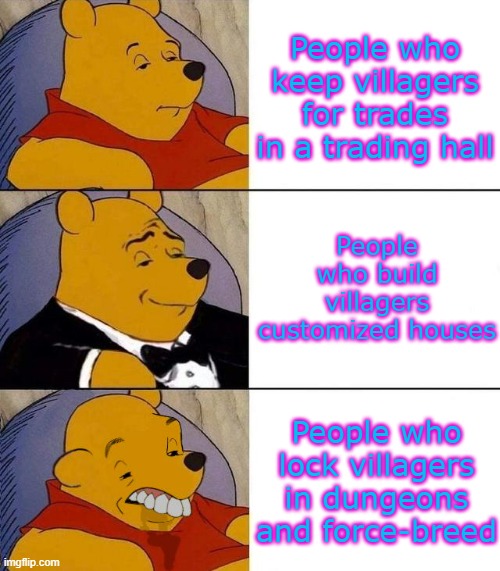 Which one is you? |  People who keep villagers for trades in a trading hall; People who build villagers customized houses; People who lock villagers in dungeons and force-breed | image tagged in best better blurst,minecraft memes,minecraft,villagers,minecraft villager looking up,minecraft villager | made w/ Imgflip meme maker