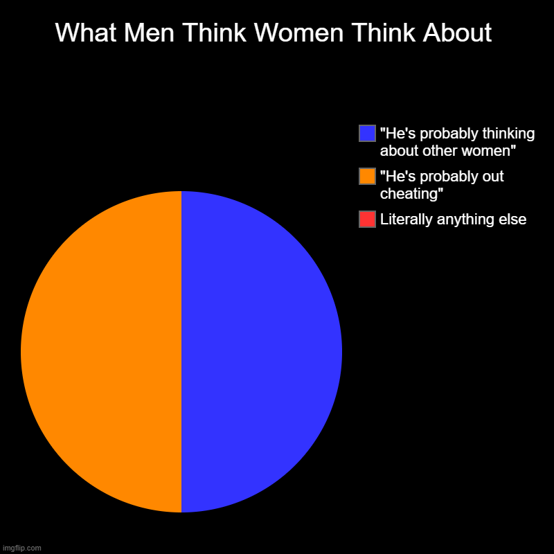 What Men Think Women Think About | Literally anything else, "He's probably out cheating", "He's probably thinking about other women" | image tagged in charts,pie charts | made w/ Imgflip chart maker