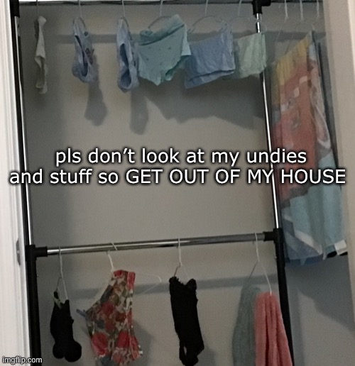 this is not my undies and stuff is my annoying brother’s also if I get banned well I’ll hunt furrys in this website with my othe | pls don’t look at my undies and stuff so GET OUT OF MY HOUSE | image tagged in also furry con is trash,dont ask why i posted this | made w/ Imgflip meme maker