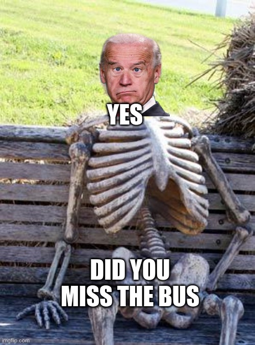 Waiting Skeleton | YES; DID YOU MISS THE BUS | image tagged in memes,waiting skeleton | made w/ Imgflip meme maker