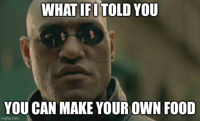 Matrix Morpheus Meme | WHAT IF I TOLD YOU; YOU CAN MAKE YOUR OWN FOOD | image tagged in memes,matrix morpheus | made w/ Imgflip meme maker