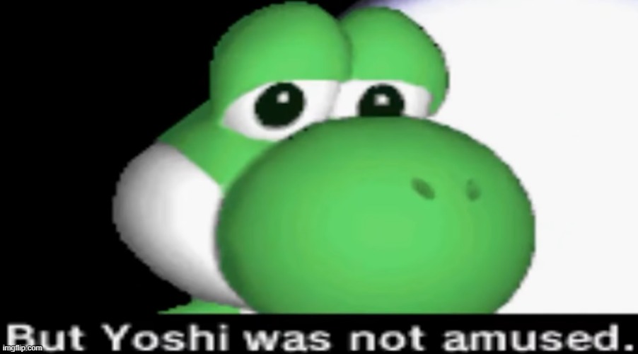 but yoshi was not amused | image tagged in but yoshi was not amused | made w/ Imgflip meme maker