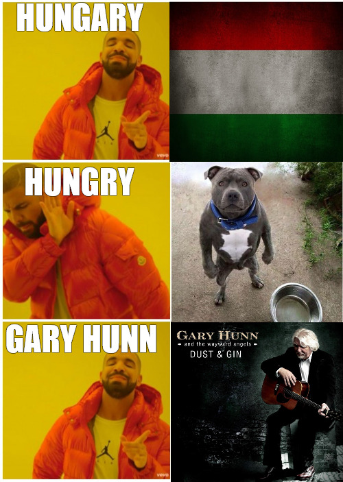 STARVING | HUNGARY; HUNGRY; GARY HUNN | image tagged in drake meme 3 panels | made w/ Imgflip meme maker