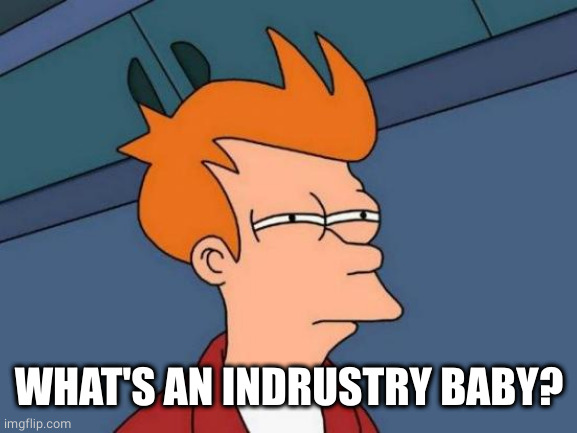 Futurama Fry Meme | WHAT'S AN INDRUSTRY BABY? | image tagged in memes,futurama fry | made w/ Imgflip meme maker