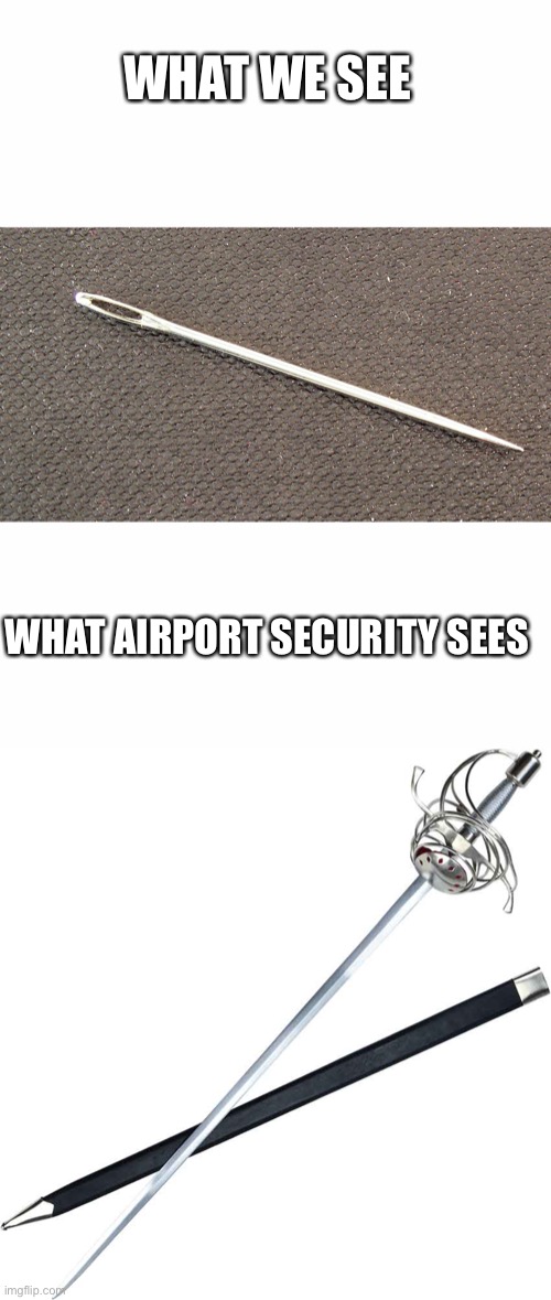 The really think someone can stab and unalive someone with a sewing needle :/ | WHAT WE SEE; WHAT AIRPORT SECURITY SEES | image tagged in i almost got sewing needles confiscated at security once,that was not a fun day | made w/ Imgflip meme maker