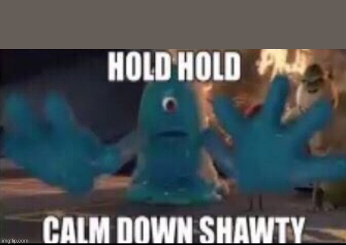 Calm down shawty | image tagged in calm down shawty | made w/ Imgflip meme maker