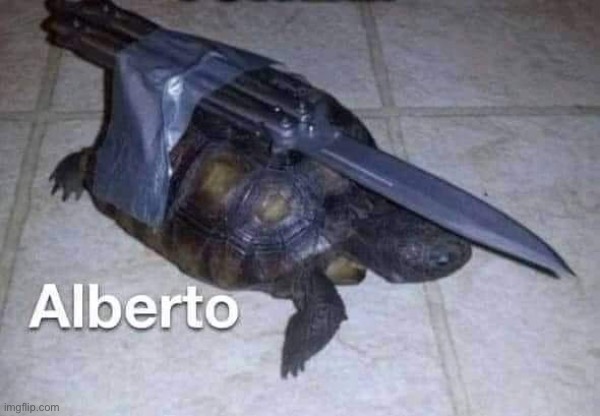 Alberto | image tagged in alberto | made w/ Imgflip meme maker
