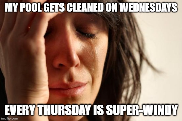 DIRTY POOL | MY POOL GETS CLEANED ON WEDNESDAYS; EVERY THURSDAY IS SUPER-WINDY | image tagged in memes,first world problems | made w/ Imgflip meme maker