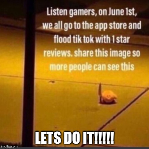 show this to others | LETS DO IT!!!!! | image tagged in flood tiktok on june 1st | made w/ Imgflip meme maker