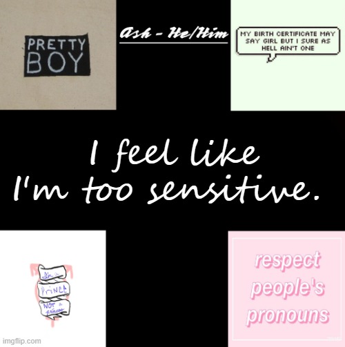 I feel like I'm too sensitive. | image tagged in ash,vent,please help me | made w/ Imgflip meme maker