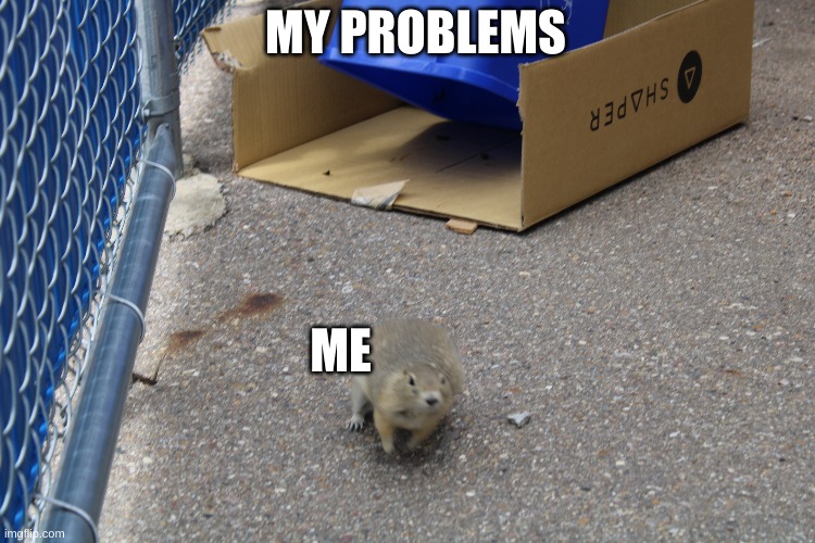 i actually took this picture at school when we found a gopher in the classroom |  MY PROBLEMS; ME | image tagged in picture,original,meme,funny | made w/ Imgflip meme maker