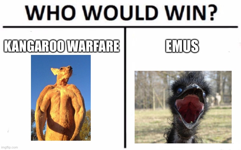 Who Would Win? Meme | KANGAROO WARFARE EMUS | image tagged in memes,who would win | made w/ Imgflip meme maker