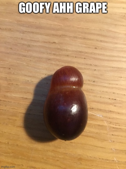 GOOFY AHH GRAPE | made w/ Imgflip meme maker