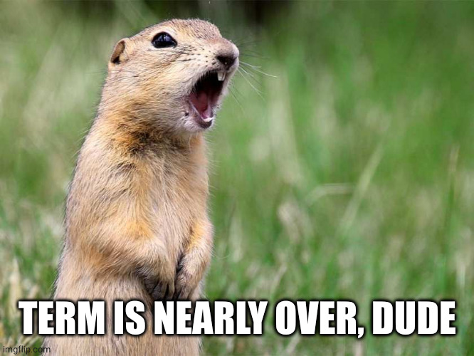 gopher | TERM IS NEARLY OVER, DUDE | image tagged in gopher | made w/ Imgflip meme maker